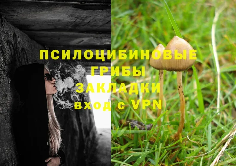 Галлюциногенные грибы Magic Shrooms  Высоцк 